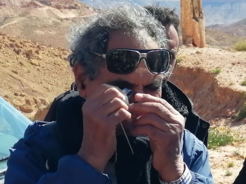 Professor Salem examines a specimen in the field.