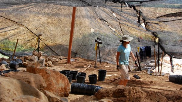 Excavations at Tell Hazor. Photo credit: Susan Ackerman.