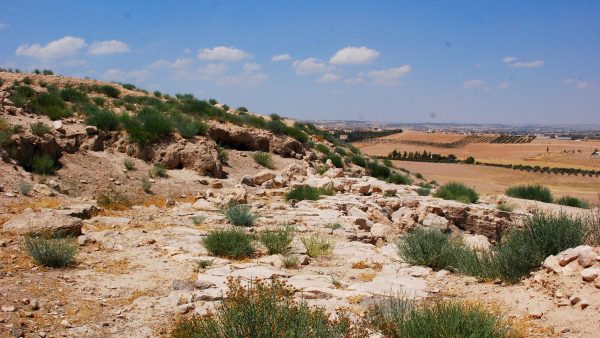 PID000148_Jordan_Tell-Jalul_2018_06_Iron-Age-Road