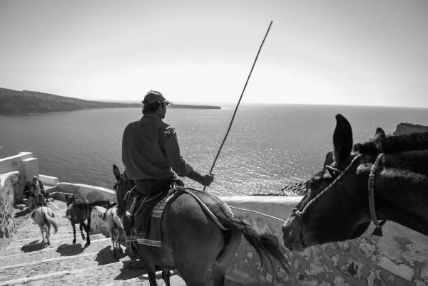 pid000256_Greece_Santorini_2018_07_Donkeys