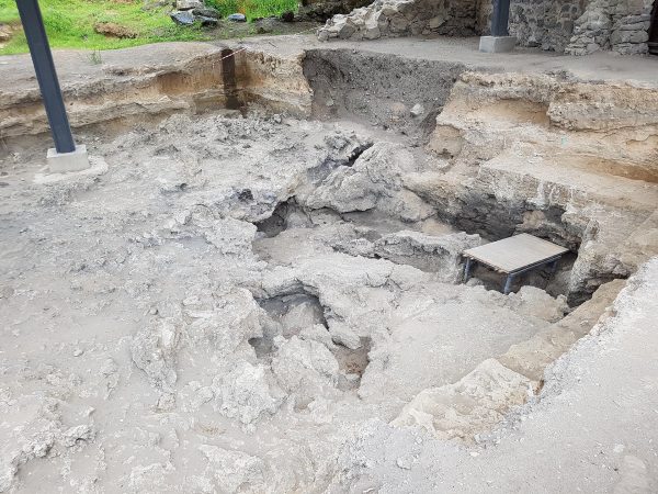 pid000325_Georgia_Dmanisi_2017_05_View-of-Excavations