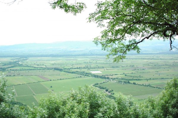 pid000361_Georgia_Nekresi_2017_08_Caucasus-and-Kakhetian-Lowlands-02