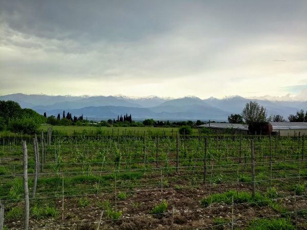 pid000362_Georgia_Kakheti_2019_08_Greater-Caucasus-Mountains