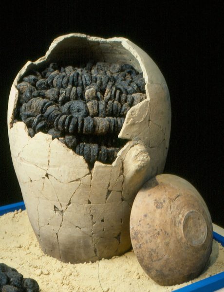 pid000530_Israel_Tel-Miqne-Ekron_08_1996_Storage-Jar-with-Burnt-Figs-and-Bowl