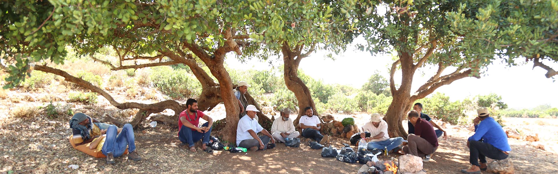 Picnic LunchBanner1920x600