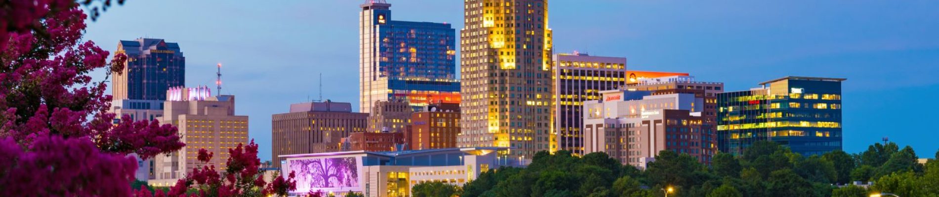 Raleigh skyline image