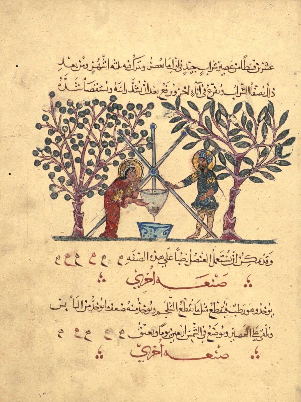 Single leaf from Arabic version of Dioscorides’ De materia medica, copied in 621 AH / 1224 CE in Baghdad and removed from original manuscript – Aya Sofya 3703 – likely late 19th or early 20th century Ce. Walters Art Museum. Approximately 30 illustrations were removed from this manuscript that are now in public and private collections.