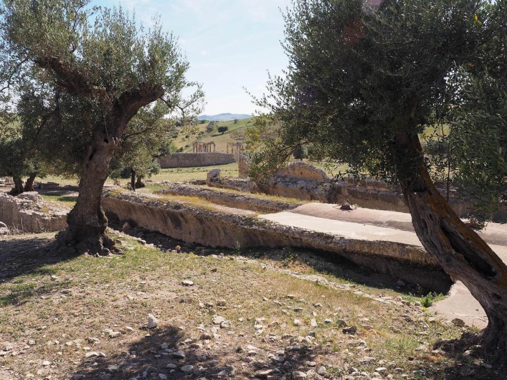 The Aïn El-Hammam Cisterns at Dougga. (Photo by John Whitehouse).