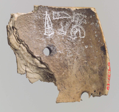 Fragment of a shell inscribed with Luwian hieroglyphs, one of a small group excavated in the Assyrian capital city Kalhu and inscribed with the name and title of a 9th - century king of Hamath in wester n Syria, Irhulina. Metropolitan Museum of Art 64.37.15