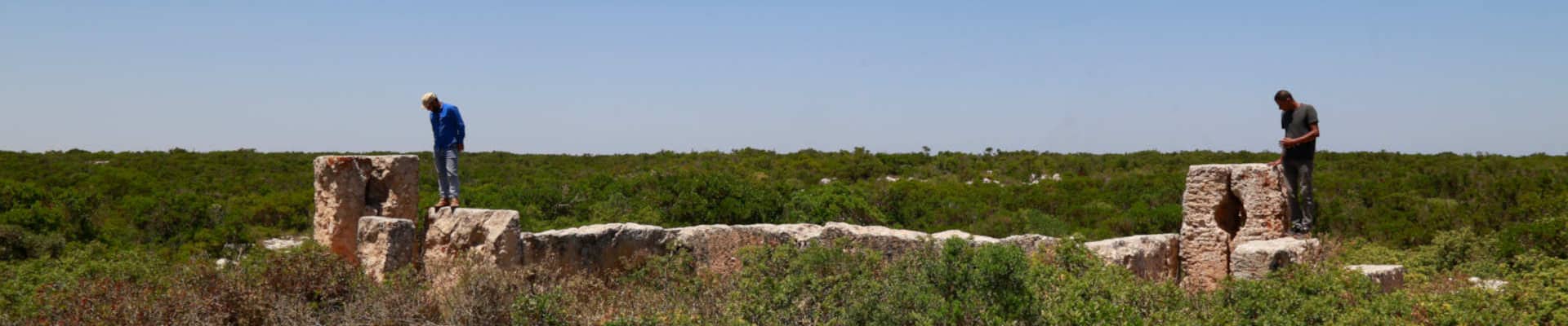 Fteah Olive Press Facilities