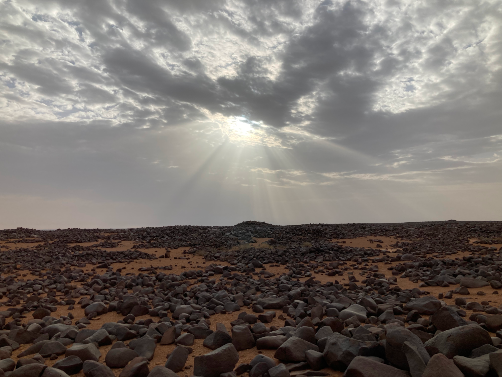 Photo 1: The intensity of the sun shining down onto the archaeological landscape in the black desert meant the group took a break at lunch time to escape the worst of the heat. Photo by Megan Nishida.