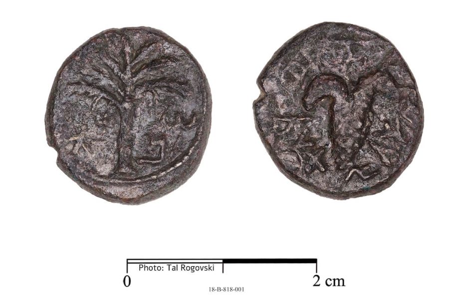 Figure 7: Bar Kokhba Revolt Coin, dated 134/5–135/6 CE (Photo: T. Rogovski)