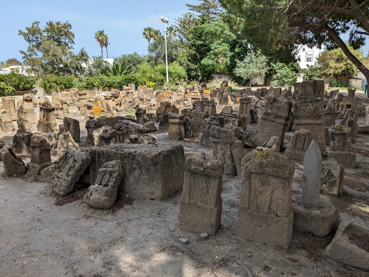 Votive stelae removed from excavations at the “Precinct of Tanit” in Carthage, currently on view at the archaeological site (photo by H. Dixon).