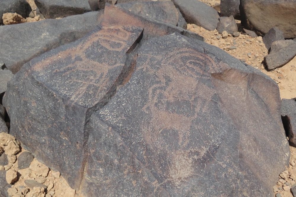 Figure 6: Petroglyph of hunting scene, with two hunters and three ibex, at Wisad Pools. Photo by A. C. Hill.