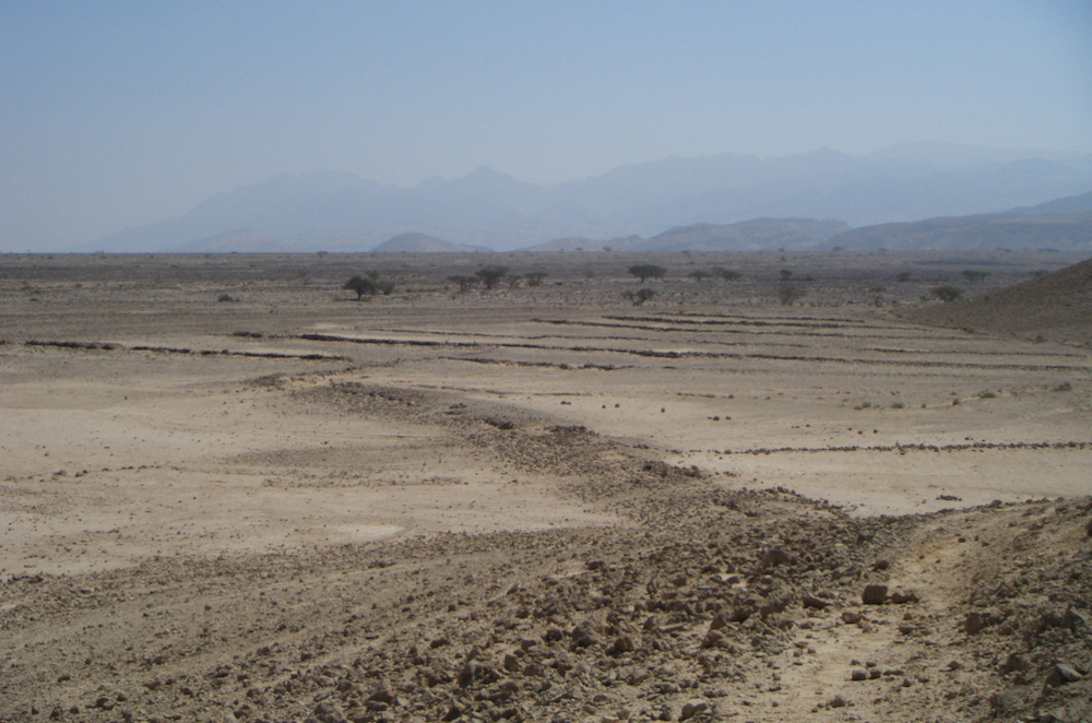 Ancient field system near the site of Bir Madhkur, Jordan. Photo by J. Ramsay.
