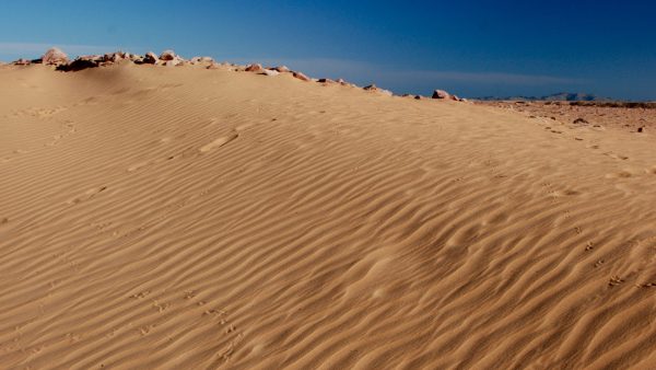 pid000690_Egypt_Wadi-es-Sebua_2022_Nubian-Desert