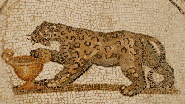 pid000692_Tunisia_El-Jem_2007_Dionysian-Panther-Mosaic