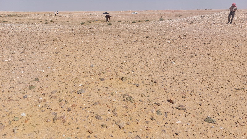 Figure 9: Collecting lithics in the Iraqi Western Desert in March 2024.