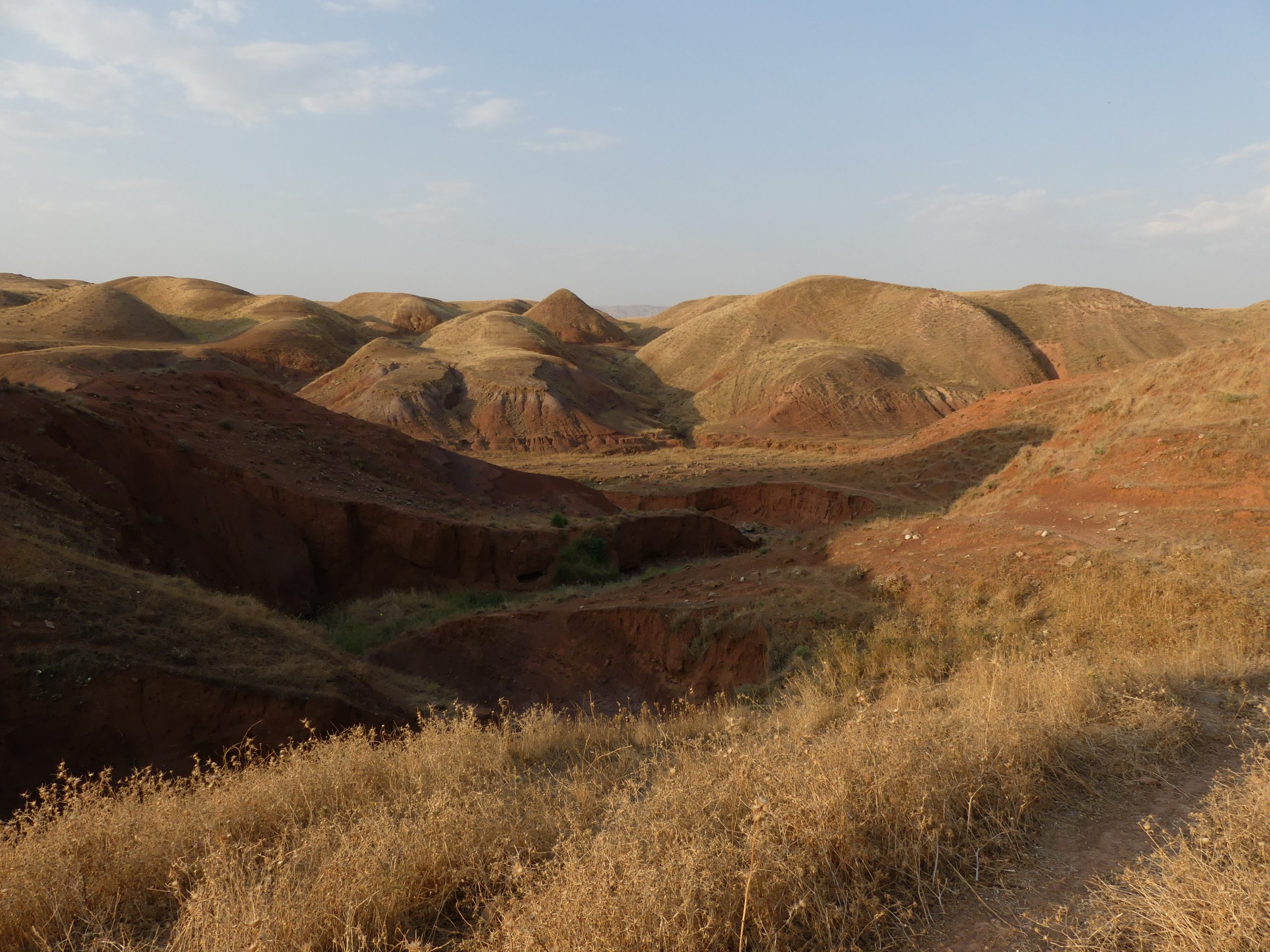 Landscape of the Qara Dagh foothills (Iraqi Kurdistan) © CraftLand