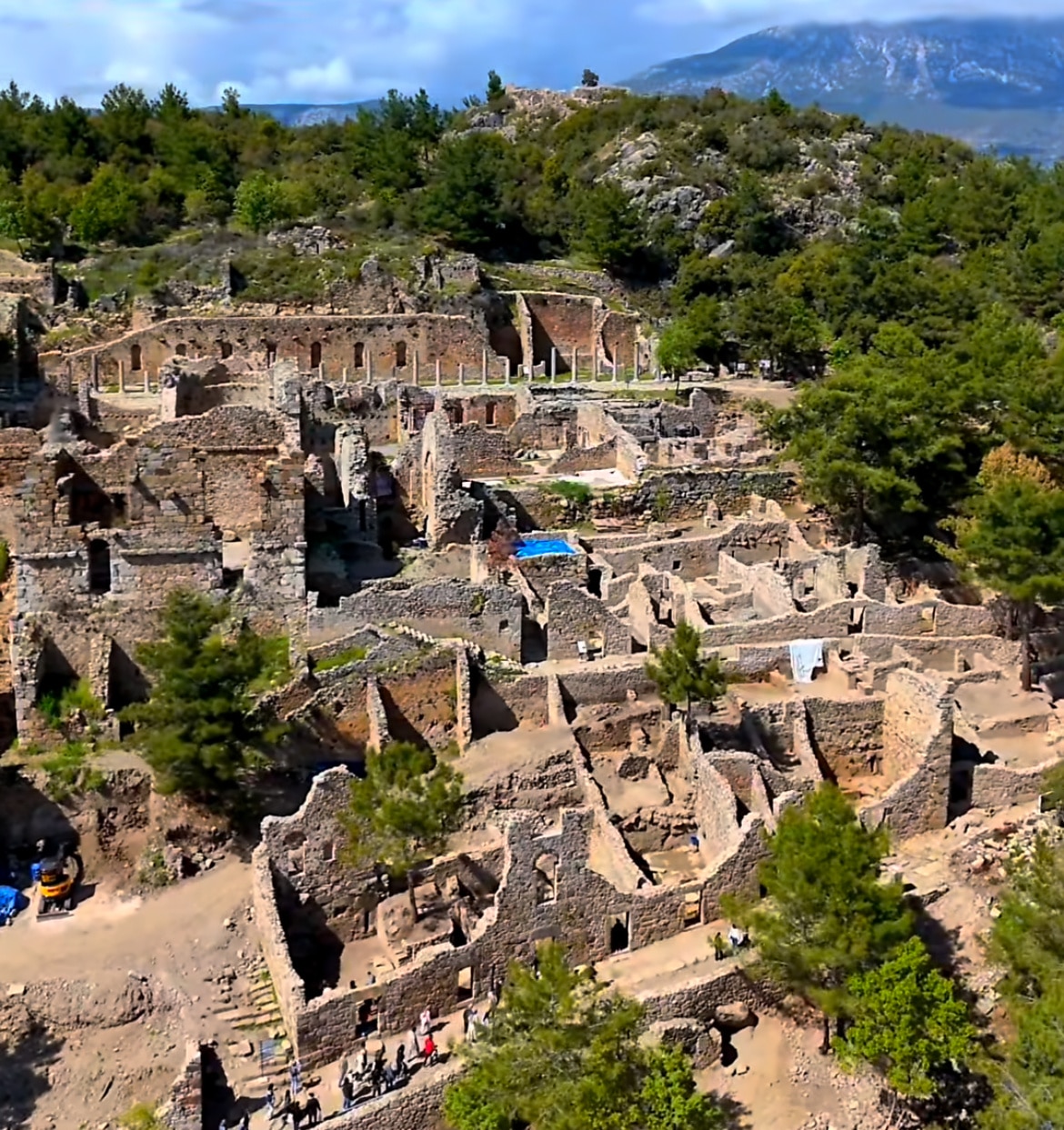 An overview of Syedra