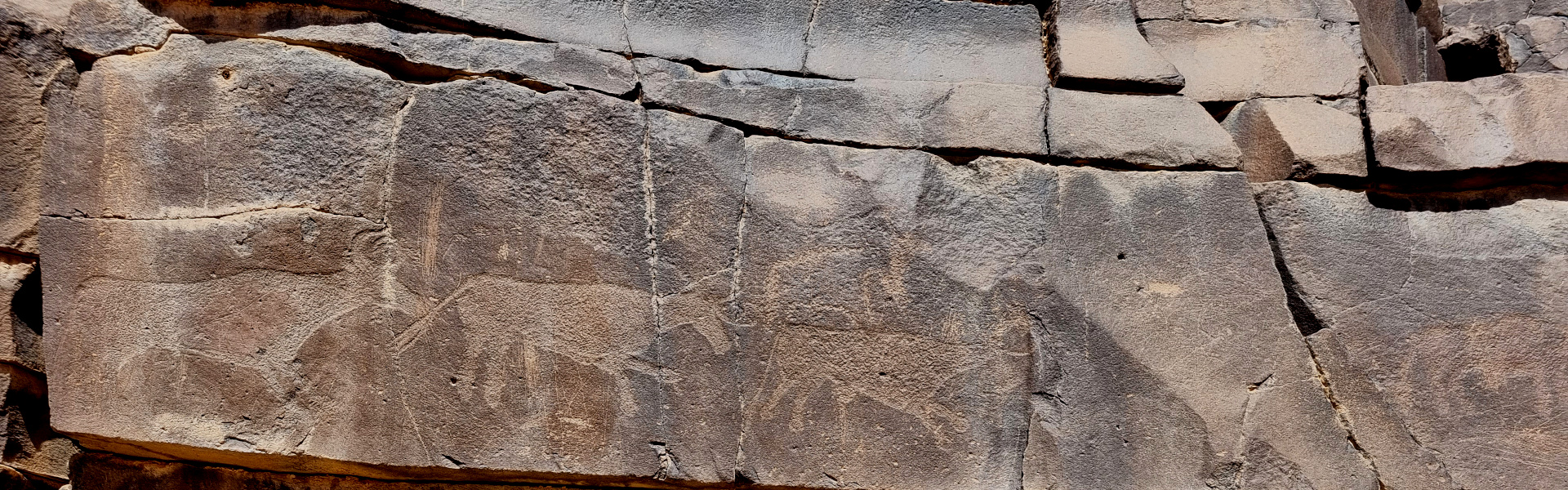 Rock art from Wadi Tajnet in Libya.