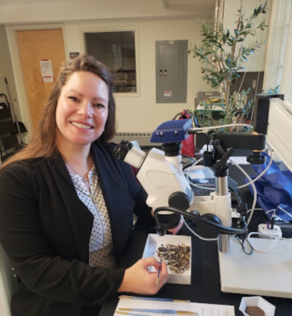 Dr. Kathleen Forste at work in her lab.