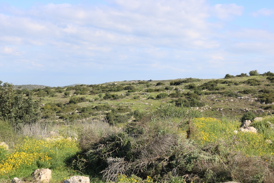The terraced landscape of Khirbet Beit Loya. Photo credit Bethany Walker.