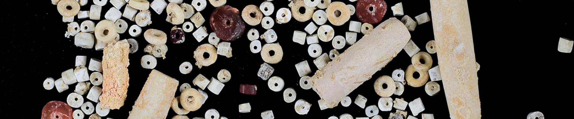 BASOR 393 banner