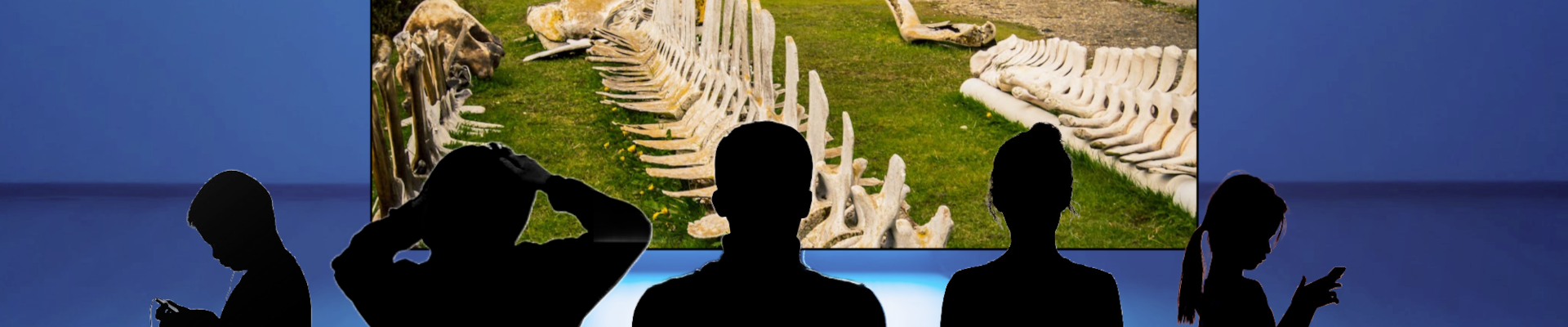 Amanda Hope Haley webinar banner image Amanda Hope Haley webinar banner image