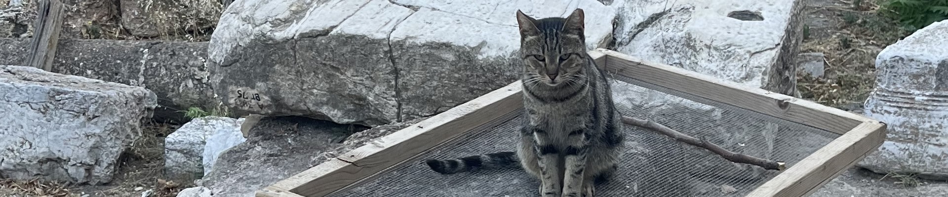 Borotsik-AthenianAgora-2025-Banner Borotsik-AthenianAgora-2025-Banner