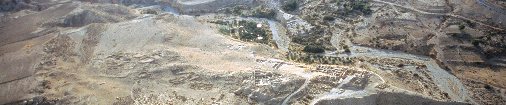 BASOR-395-banner BASOR-395-banner