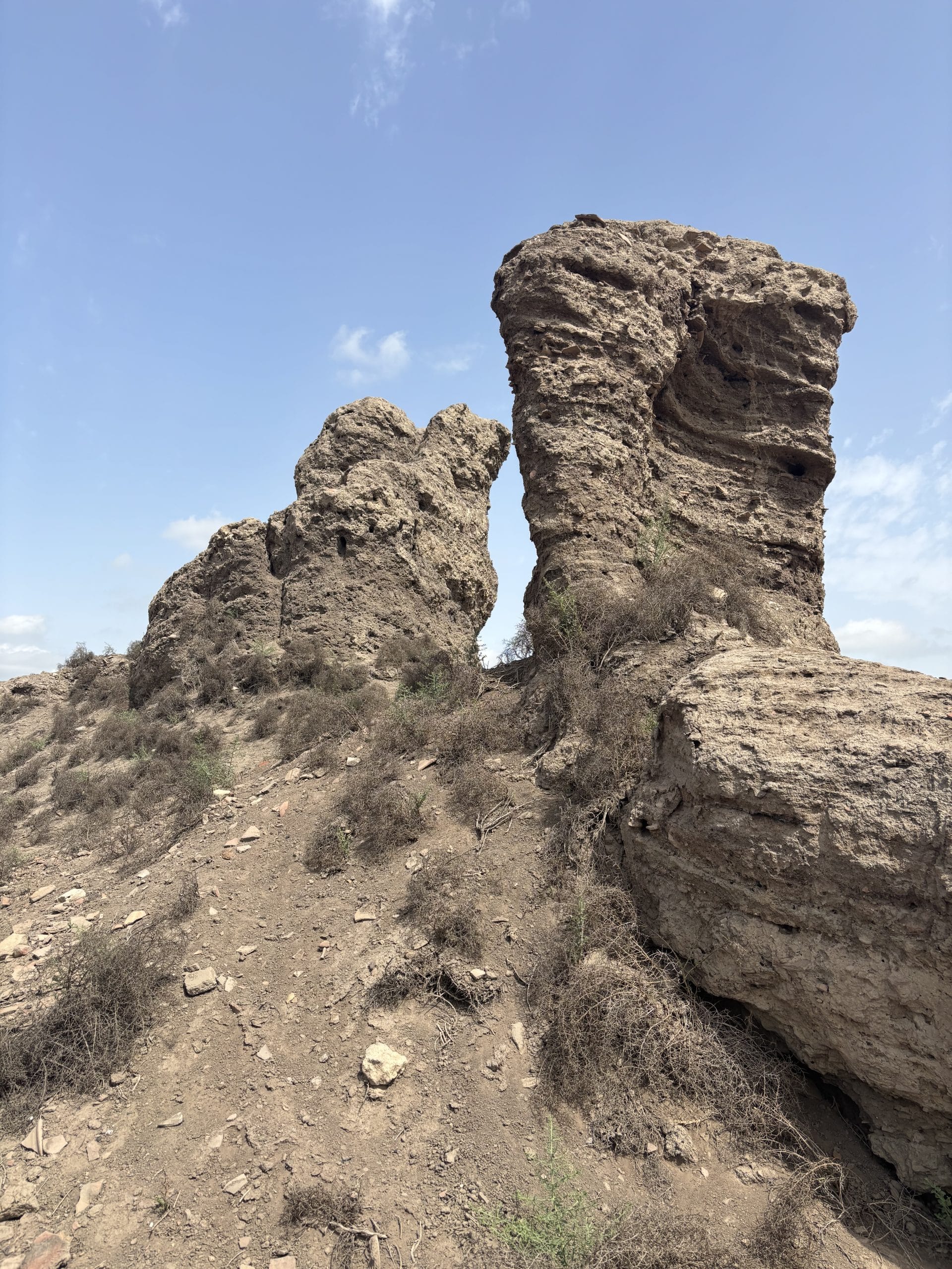 Remains of enclosure walls at Kom Firin, eastern mound (photo by Oren Siegel)