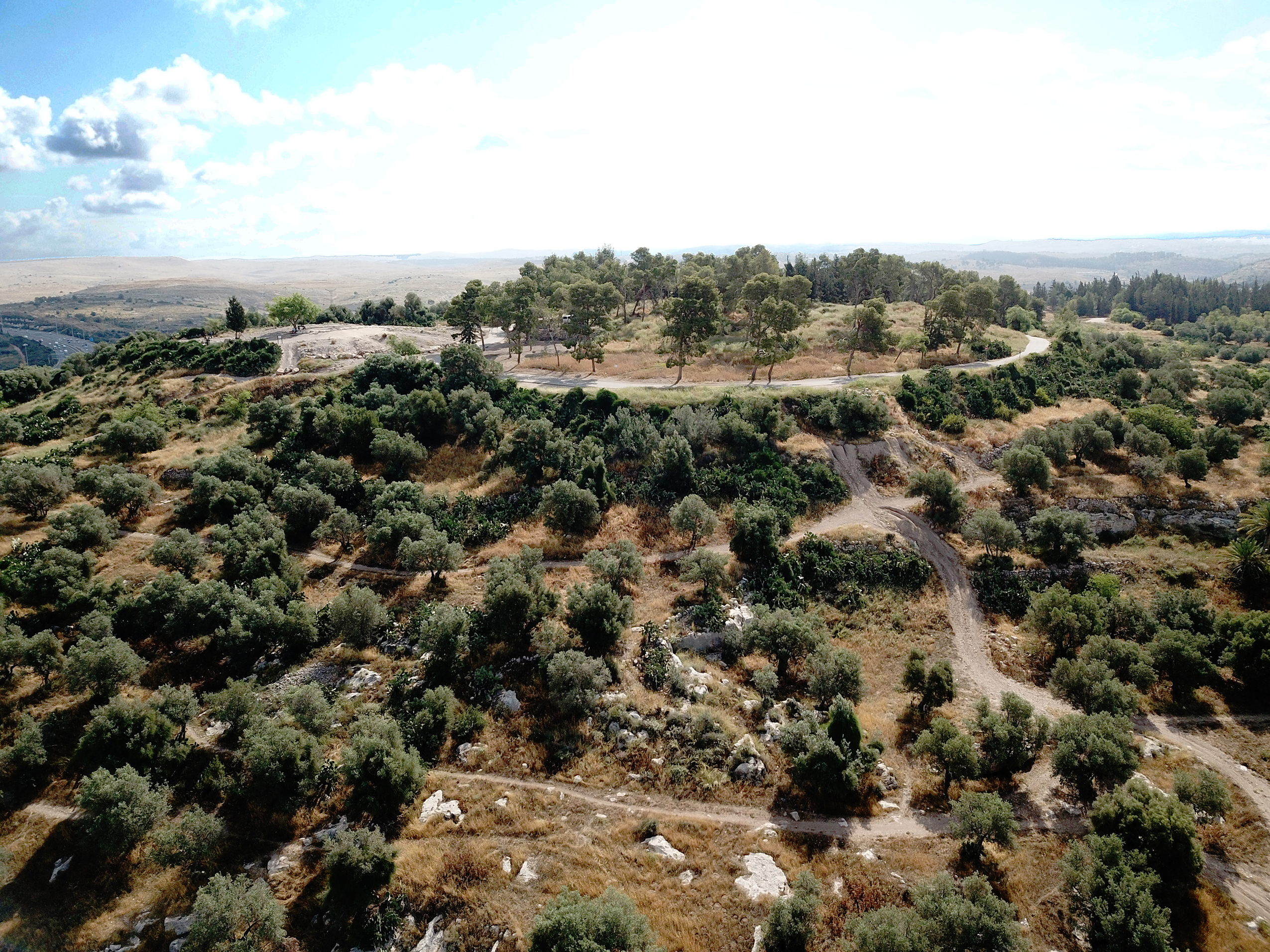 Photo by Omer Ze’evi-Berger, Tel Hadid Archaeological Project