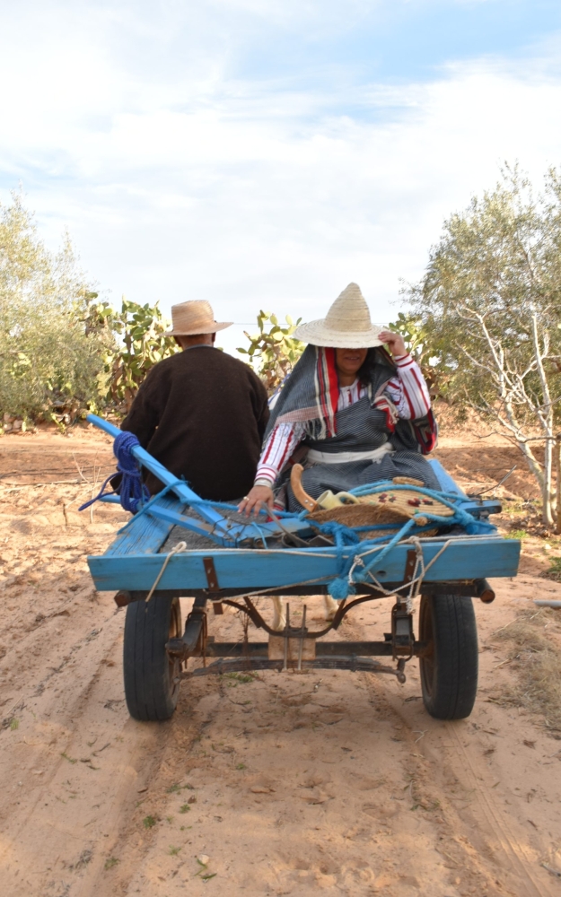 DJERBIAN WOMAN AND MAN PREPARE TO GO PLOW FIELDS | إمرأة جربية مع رجل يتاهبان للذهاب للحقل للحراثة