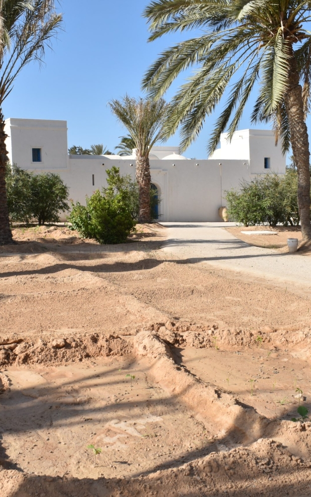 A TRADITIONAL DJERBIAN HOUSE IN THE PARK DJERBA EXPLORE IN MIDOUN | صورة لحوش جربي بفضاء اكتشف جربة جربة