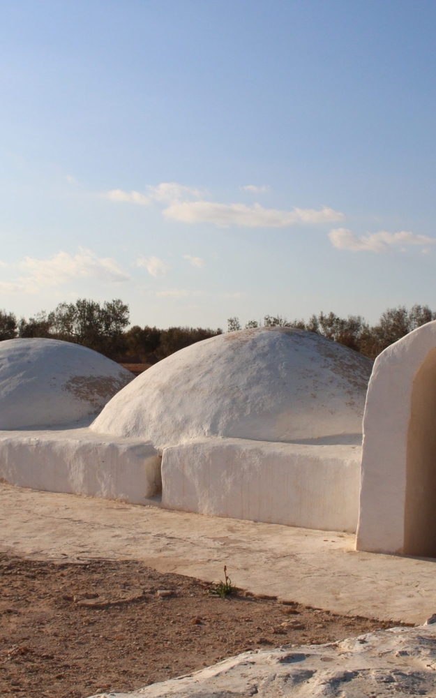 AL-WATA MOSQUE IN SEDWIKECH, DJERBA | صورة لجامع الوطا بسدويكش جربة