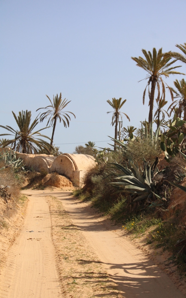 GENERAL VIEW OF DIRT PATHS IN DJERBA | منظر عام لجوادي جربة