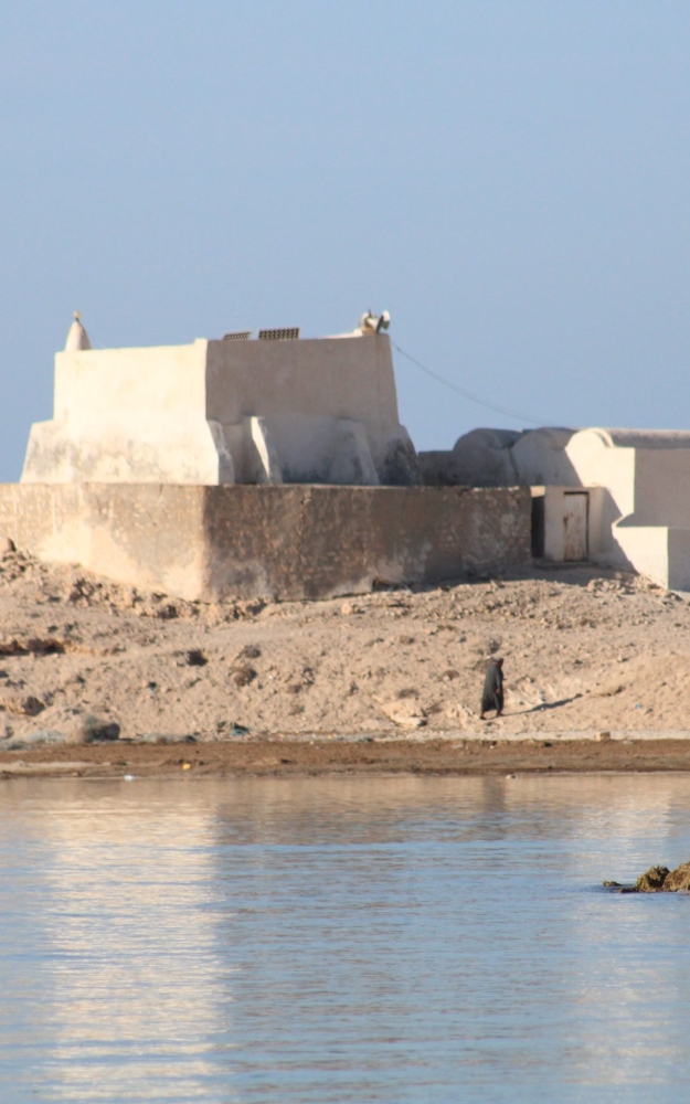 SIDI JAMMOUR MOSQUE IN DJERBA | صورة لجامع سيدي جمور بجربة