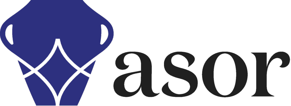 Join ASOR’s Board of Trustees