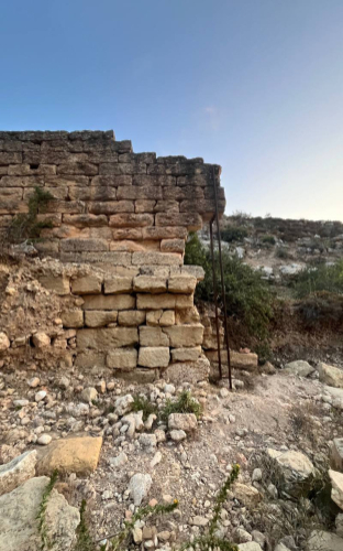 Damage to the Stepped Portico. (DOA/ASOR)