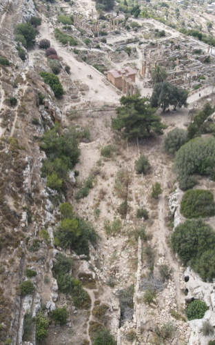 Flood damage in wadi and sanctuary of Apollo, facing north. (DOA/ASOR)