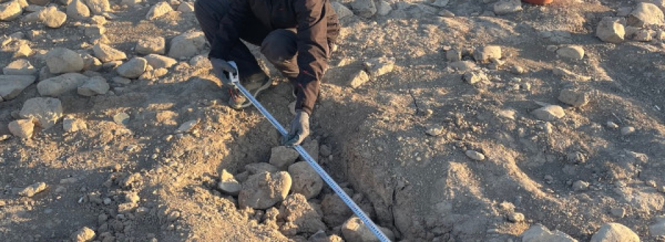 Fieldwork Report: Anna Taibi