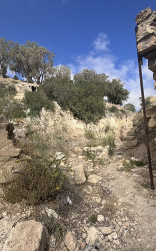 Flood-damaged architecture in the wadi zone. (DOA/ASOR)