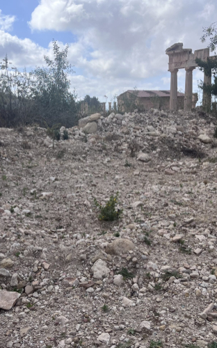 Flood deposits at the entrance to the Sanctuary of Apollo. (DOA/ASOR)