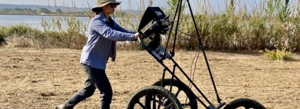 Fieldwork Report: Helen Wong