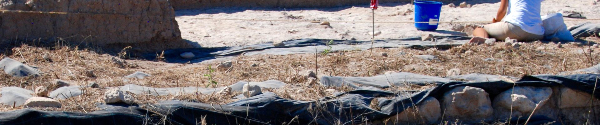 DiggerKissonerga Skalia Cyprus July 2015 – 1920x600